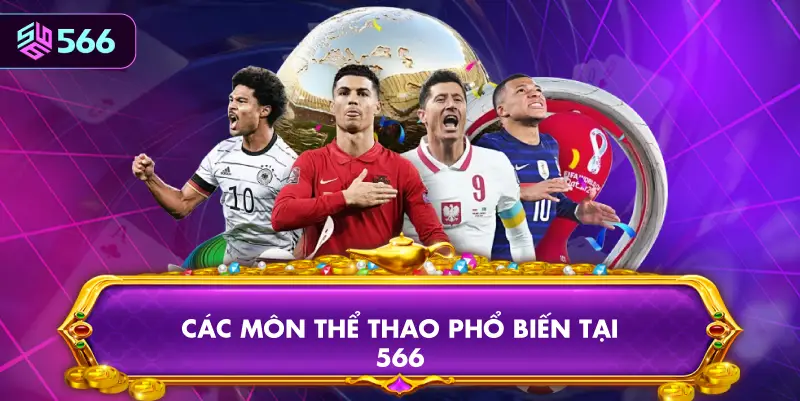 Các Môn Thể Thao Phổ Biến Tại 566